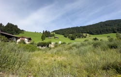 Wildschönau-Oberau, Tyrol 6311