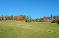 Kleinzell-Salzerbad, Lower Austria 3171