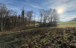 Garsten, Upper Austria 4451