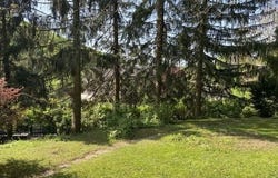 Wagrain, Salzburg 5602