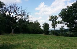 Wilfersdorf, Lower Austria 2193