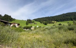 Oberau, Tyrol 6311