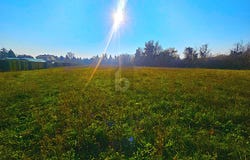 Baden, Lower Austria 2500