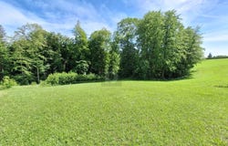 Garsten, Upper Austria 4451