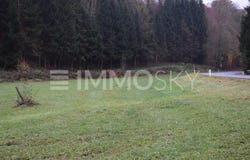 Gramastetten, Upper Austria 4201