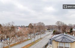 vienna, Vienna 1220