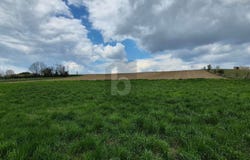 Prinzersdorf, Lower Austria 3385