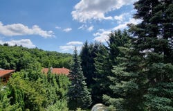 Pressbaum, Lower Austria 3021