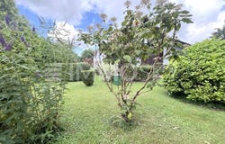 Lustenau, Vorarlberg 6890