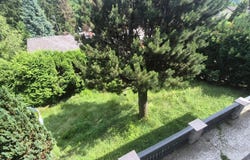 Untertullnerbach, Lower Austria 3011