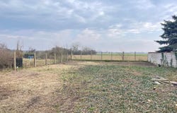 Nickelsdorf, Burgenland 2425