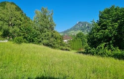 Losenstein, Upper Austria 4460