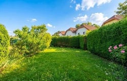 Laab im Walde, Lower Austria 2381