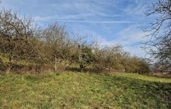 Bad Schallerbach, Upper Austria 4701