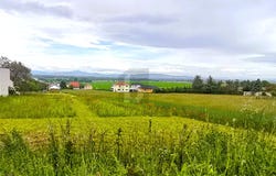 Hornstein, Burgenland 7053