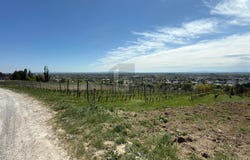 Baden, Lower Austria 2500
