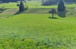 Großraming, Upper Austria 4463