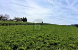 Neusiedl, Lower Austria 2763
