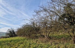 Bad Schallerbach, Upper Austria 4701
