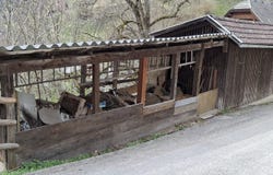 Trebesing, Carinthia 9852