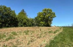 Baden, Lower Austria 2500
