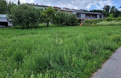 Steyregg, Upper Austria 4221