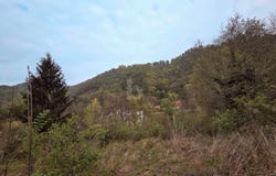 Graz, Styria 8051