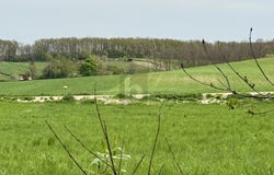 Sigleß, Burgenland 7032
