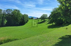 Steyr, Upper Austria 4400