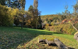 Breitenfurt bei Wien, Lower Austria 2384