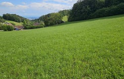 Altlichtenberg, Altlichtenberg, Upper Austria 4040