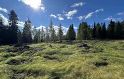 Hochrindl, Hochrindl, Carinthia