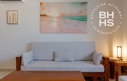 254 J.E. Irausquin Blvd, Noord, Noord