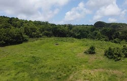 Walkes Spring, St. Thomas Lot A4, St.Thomas, Saint Thomas