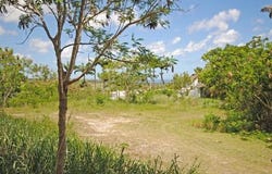 Westmoreland Lot 10 and 10A, Westmoreland, Saint James
