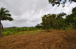 5CMM+59, St. Thomas, Saint Thomas