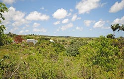 Westmoreland, Saint James