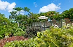 Walkes Spring, Saint Thomas