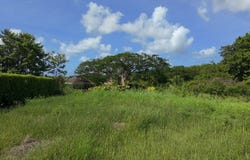 Lot 4 Bernice Gardens, Saint Thomas, Saint Michael