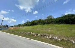 St Thomas, Barbados, St.Thomas, Saint Thomas