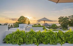 Palm Grove, The Garden, Saint James
