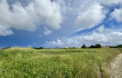 Ealing Grove, Christ Church Barbados, Ealing Grove, Christ Church