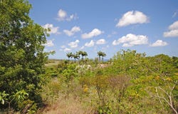Westmoreland, Saint James