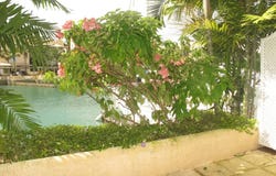 St Peter, Barbados, St.Peter, Saint Peter