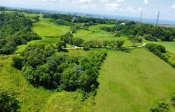 Dunscombe, St. Thomas, St.Thomas, Saint Thomas