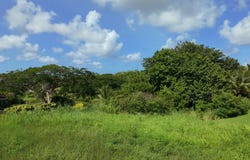 Lot 4 Bernice Gardens, Saint Thomas, Saint Michael