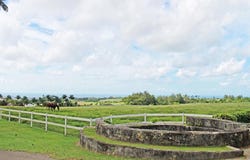 Lion Castle Tenantry, Saint Thomas