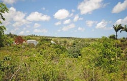 Westmoreland Lot 10 and 10A, Westmoreland, Saint James