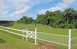 Lion Castle Tenantry, Saint Thomas