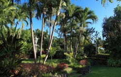 Sandy Lane, Sandy Lane, Saint James